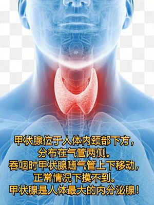 【健康科(kē)普】甲状腺癌你知多(duō)少？